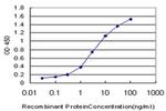 TRIM49 Antibody in ELISA (ELISA)
