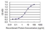 ZNF287 Antibody in ELISA (ELISA)