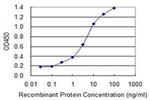 ZNF287 Antibody in ELISA (ELISA)