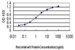 RBAK Monoclonal Antibody (6F9)