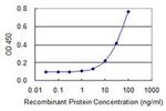 IQCH Antibody in ELISA (ELISA)
