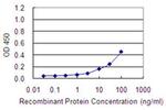 COA7 Monoclonal Antibody (1G11-1C4)