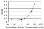 FSD1 Antibody in ELISA (ELISA)
