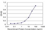 PRKRIP1 Antibody in ELISA (ELISA)