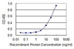 TRIM46 Antibody in ELISA (ELISA)