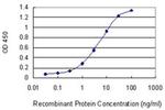PGBD1 Antibody in ELISA (ELISA)