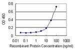 TRIM47 Antibody in ELISA (ELISA)