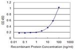 HIN-1 Antibody in ELISA (ELISA)