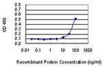 ARMC6 Antibody in ELISA (ELISA)