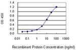HAUS1 Antibody in ELISA (ELISA)