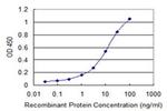 MSI2 Antibody in ELISA (ELISA)