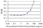 FBXO27 Monoclonal Antibody (1G6)
