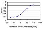DYDC1 Antibody in ELISA (ELISA)