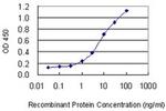 MIPOL1 Antibody in ELISA (ELISA)