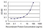 UBE2U Antibody in ELISA (ELISA)