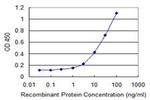 PDIK1L Antibody in ELISA (ELISA)