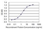 Contactin 4 Antibody in ELISA (ELISA)