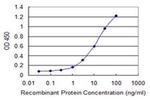 RNF133 Antibody in ELISA (ELISA)