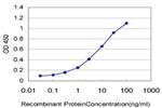STKLD1 Antibody in ELISA (ELISA)