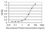 CCDC83 Antibody in ELISA (ELISA)