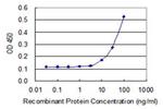 TL132 Antibody in ELISA (ELISA)