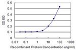 GK5 Antibody in ELISA (ELISA)