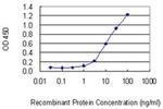 UBE2DNL Antibody in ELISA (ELISA)