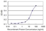 NACA2 Antibody in ELISA (ELISA)