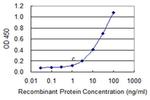 IDNK Antibody in ELISA (ELISA)