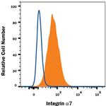 ITGA7 Antibody in Flow Cytometry (Flow)