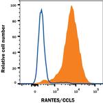 CCL5 (RANTES) Monoclonal Antibody (21445), APC