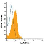 CD166 Monoclonal Antibody (105902), Alexa Fluor™ 488