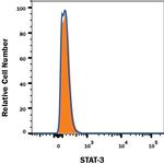 STAT3 Monoclonal Antibody (232209), PE