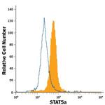 STAT5 alpha Monoclonal Antibody (251610), FITC