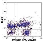IL-27 Monoclonal Antibody (234205), PE
