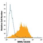 CD206 Monoclonal Antibody (685641), Alexa Fluor™ 488