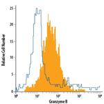 Granzyme B Antibody in Flow Cytometry (Flow)