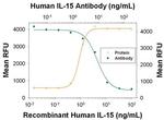 IL-15 Monoclonal Antibody (34505)