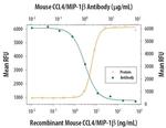CCL4 Monoclonal Antibody (46907)
