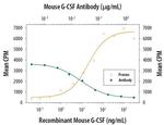 G-CSF Monoclonal Antibody (67604)