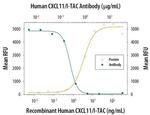 CXCL11 Monoclonal Antibody (87328)