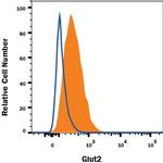 GLUT2 Antibody in Flow Cytometry (Flow)
