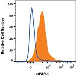 uPAR Monoclonal Antibody (109801)