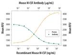 M-CSF Monoclonal Antibody (131621)