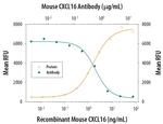 CXCL16 Monoclonal Antibody (142417)