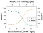 CCL1 Monoclonal Antibody (148113)