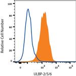 ULBP2/ULBP5/ULBP6 Monoclonal Antibody (165903)