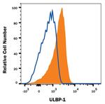 ULBP1 Monoclonal Antibody (170818)