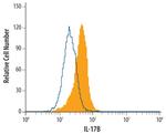 IL17B Monoclonal Antibody (174113)
