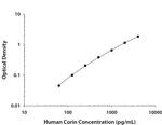 CORIN Antibody in ELISA (ELISA)